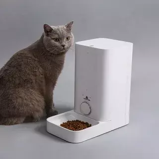 Технологии для ваших пушистых друзей