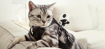 Главные новинки марта: фото и видео