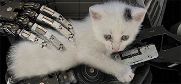 Десять и одна: малоизвестные игры 2014 года, в которые стоит сыграть