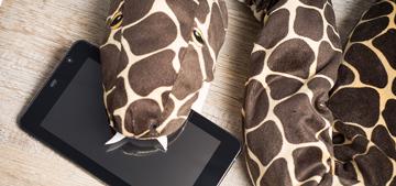 Недопланшет — переплафон. Обзор планшета IconBIT Pocket 3G NT-3601P