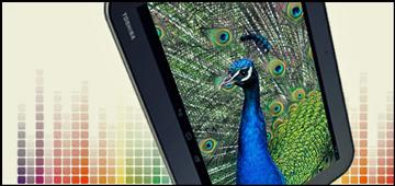 Сладкая парочка: обзор планшетов Toshiba Excite Pro и Excite Pure