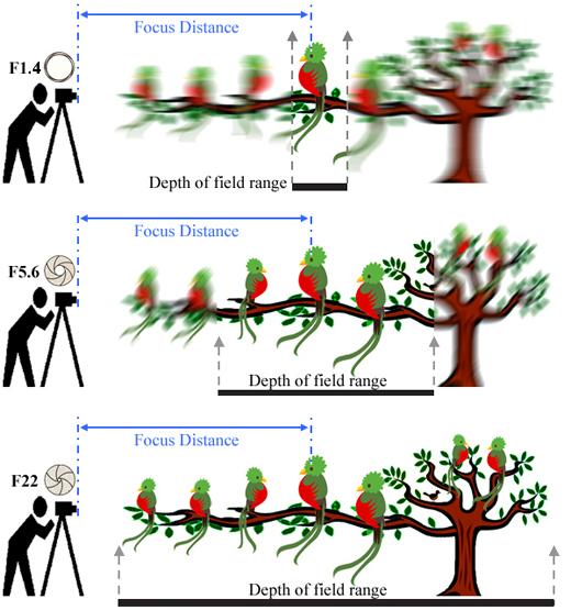 Глубина резко изображаемого пространства наглядно