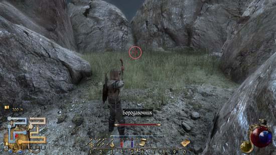 Спустя секунду на одного бородавочника в мире Two Worlds II станет меньше