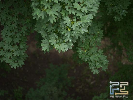 ISO 400, 150 мм, 1/125, f/2.8