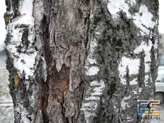 Nikon Coolpix P7100, ISO 160, 6 мм, f/2.8, 1/30 с