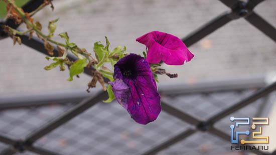 F/7,1, 1/40 c, ISO 200, 84 мм