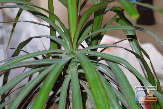 F/5.6, 1/60 c, ISO 100, 84 мм