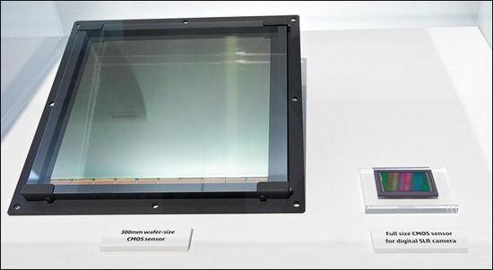 Самый большой в мире CMOS-сенсор производства Canon в сравнении с полноформатной матрицей