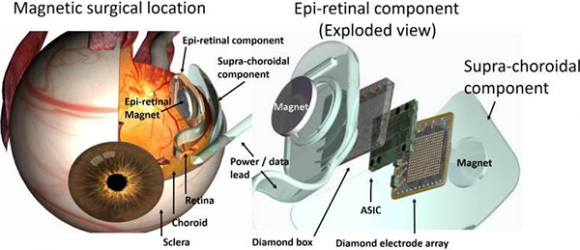 Октябрьские новинки в сфере здорового образа жизни