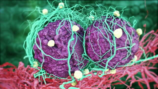 10% раковых заболеваний в Европе вызваны загрязнением окружающей среды