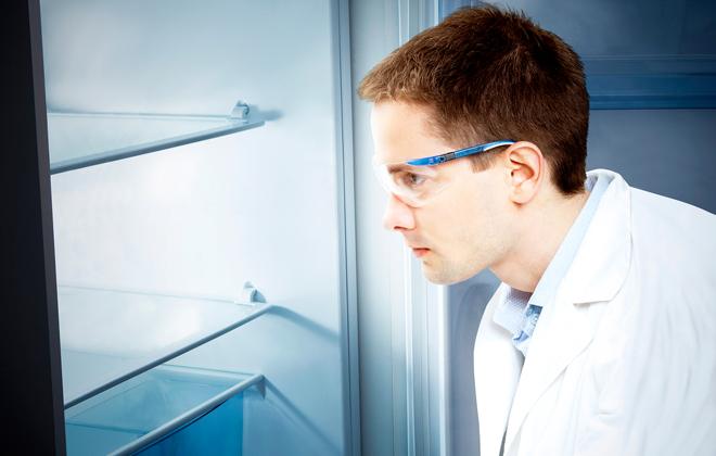 Как продлить жизнь холодильника: 6 основных правил