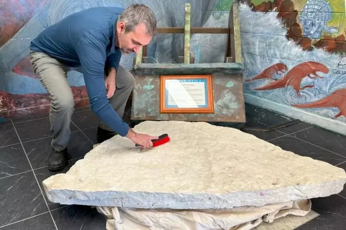 Стоявший 20 лет в австралийской школе камень оказался полон следами динозавров