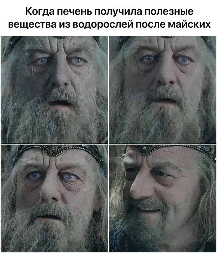 Вот что учёные имеют в виду, когда говорят, что морские водоросли спасут вашу печень