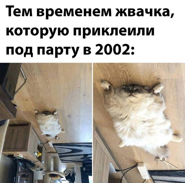 Новая жвачка от российских учёных поможет вам сохранить деньги и меньше ходить к стоматологам