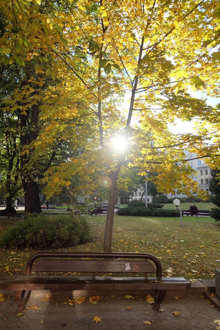 Fujifilm X-M1, ISO 400, 24 мм F3.5, 1/800 c