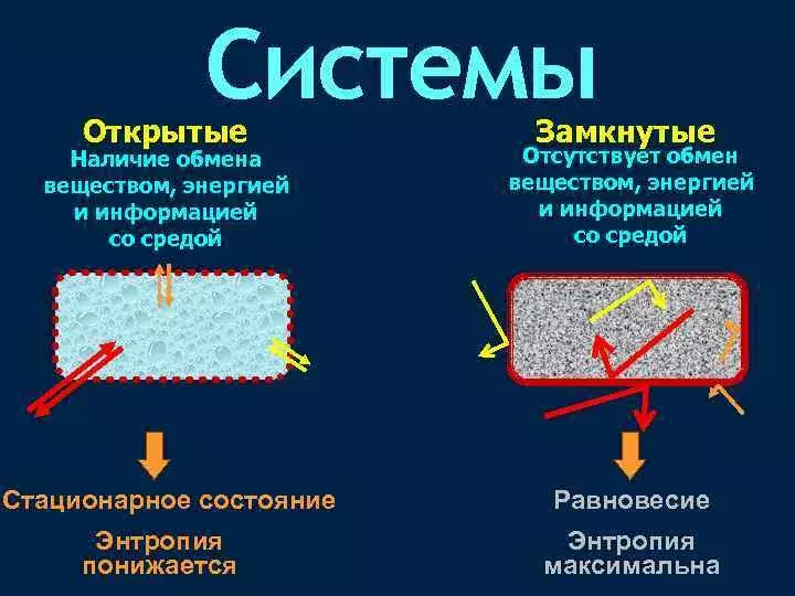 Как учёные заперли свет и не сошли с ума: сингулярность, которую не ждал даже Стивен Хокинг
