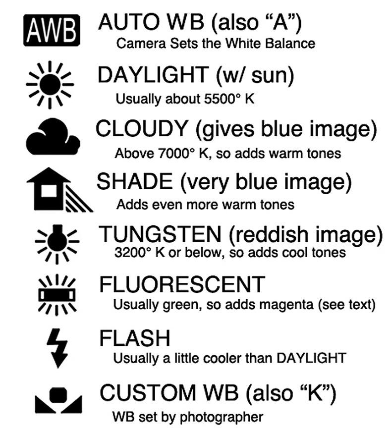 Иконки баланса белого для всех камер одинаковы