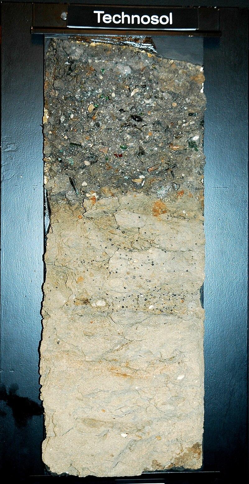 Почвенный профиль техносоли