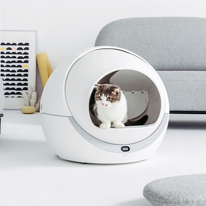 Технологии для ваших пушистых друзей