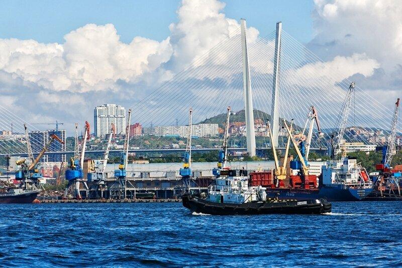 Революция в портах: что ждёт логистику России завтра?