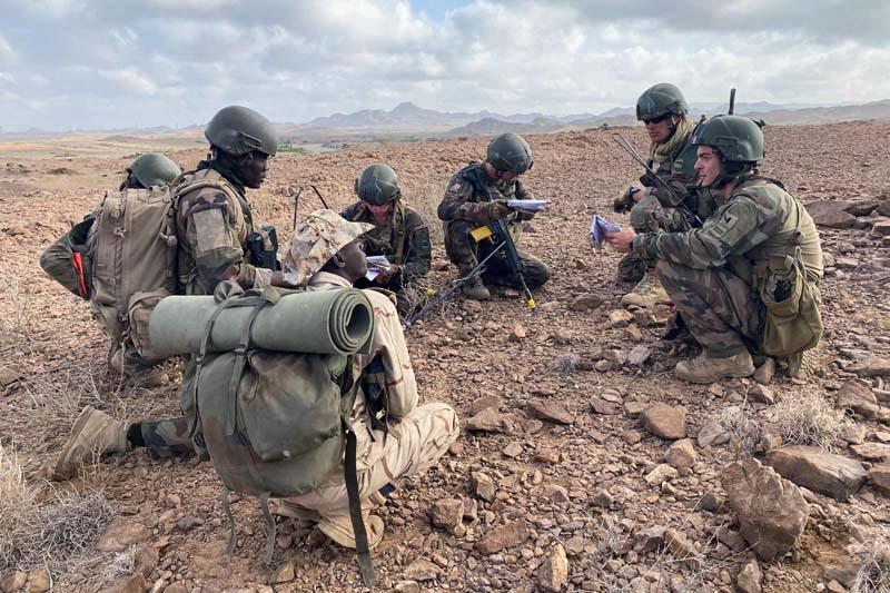 Французские совместные учения на их же базе в Джибути