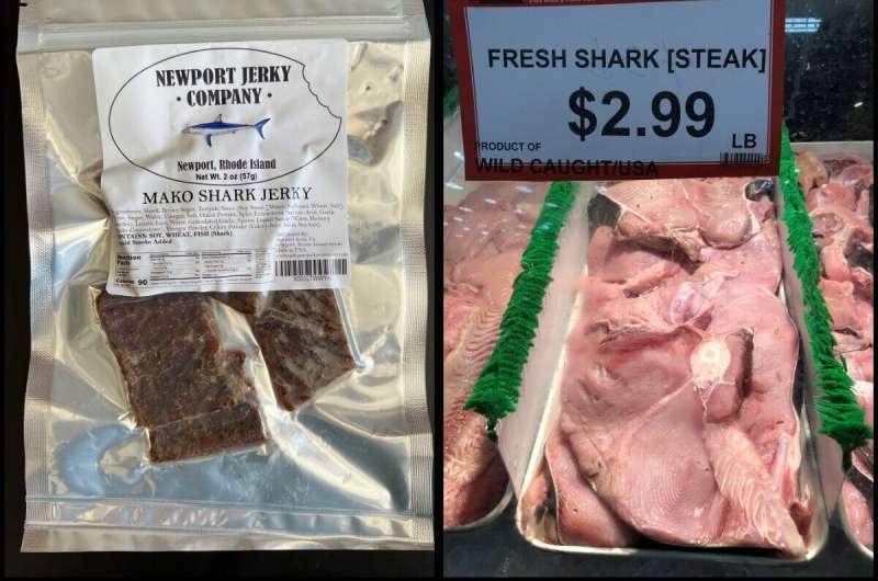 В магазинах США начали продавать мясо исчезающих акул под видом обычной рыбы