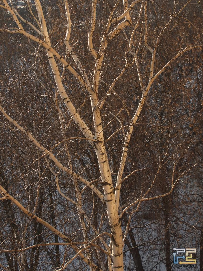 Fujifilm XF1, ISO 100, f/4.9, 1/350 c