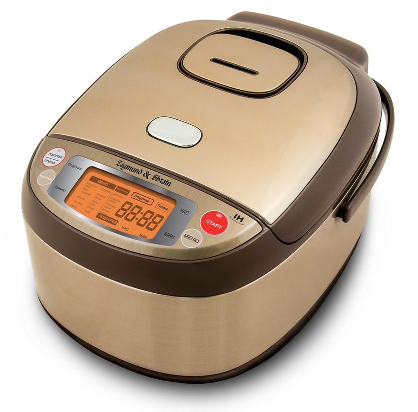 Zigmund & Shtain MC-DS42IH