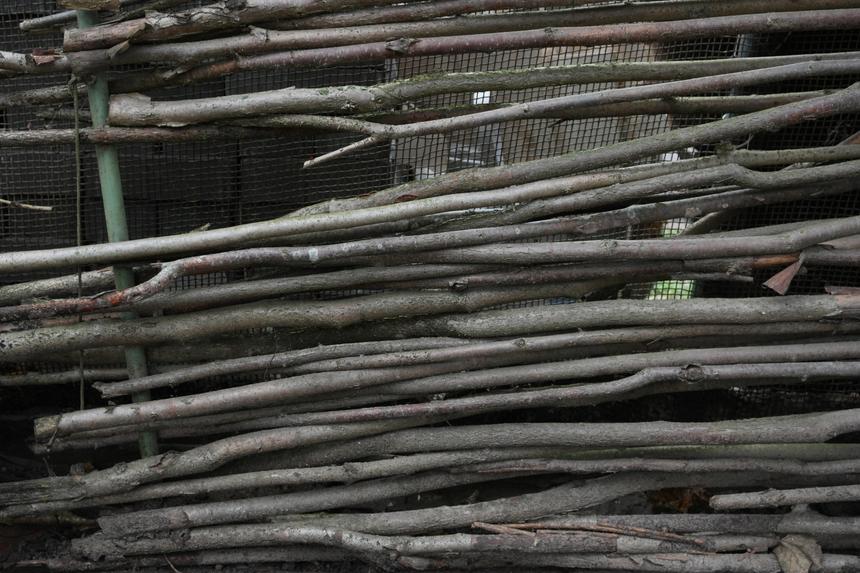 Samsung NX500, ISO 800, 23 мм, f/6.3, 1/60 c