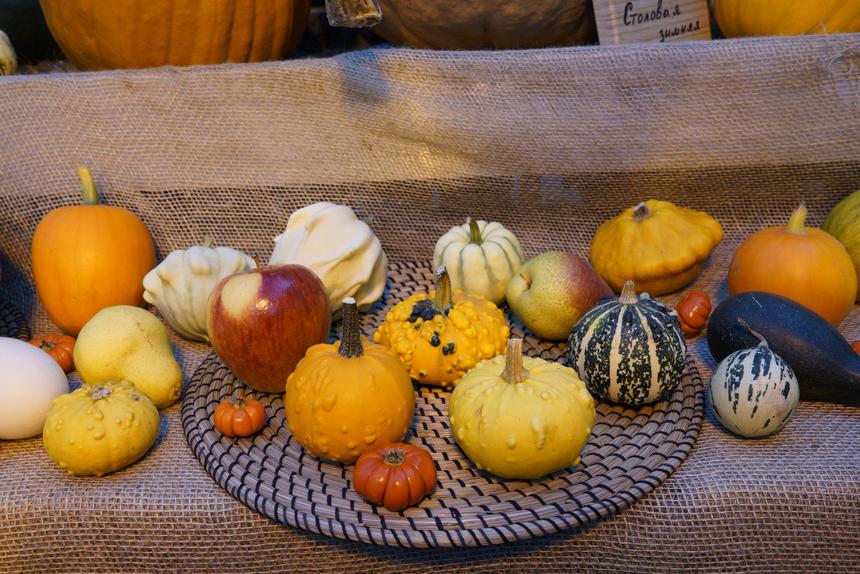 Sony A7R II, ISO 1000, 35 мм, F8.0, 1/125 c