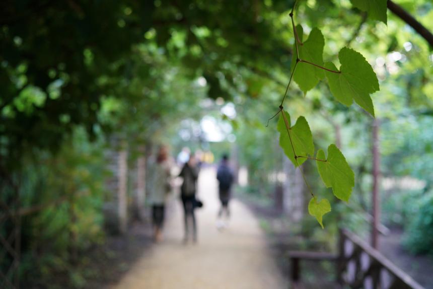 Sony A7R II, ISO 1000, 35 мм, F2.0, 1/125 c