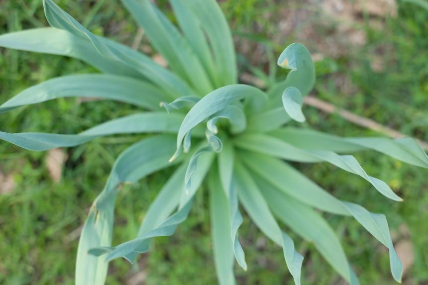 Fujifilm X-A2, 35 мм, ISO 200, f/2.8, 1/450 c