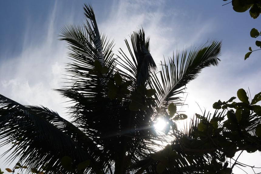 Nikon1 V3, ISO 160, 30 мм F5.6, 1/2500 c