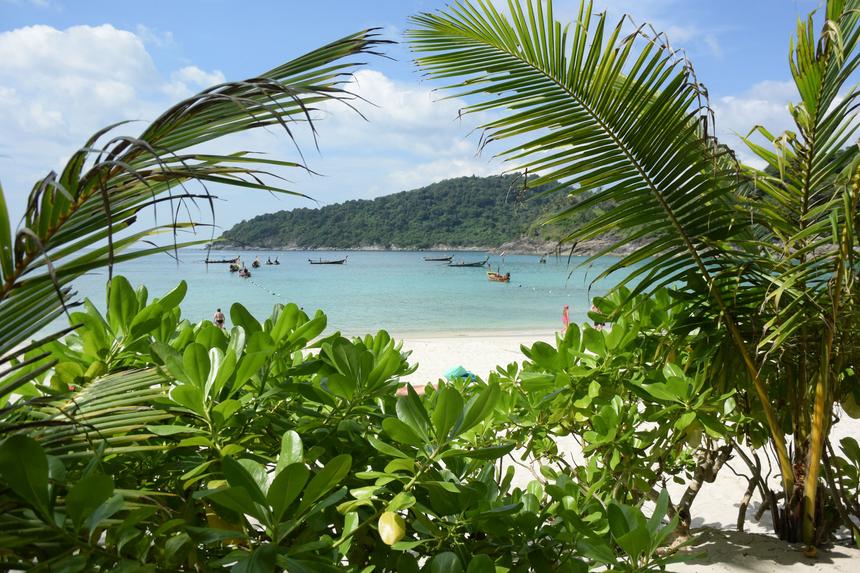 Nikon1 V3, ISO 160, 10 мм F3.5, 1/2000 c