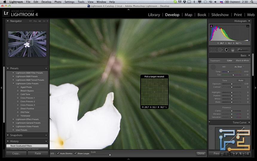 Сэмплер баланса белого размером 10x10 точек в Adobe Photoshop Lightroom 4