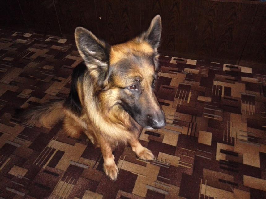 Образец съёмки основной камерой MediaPad X1: съёмка в помещении со вспышкой