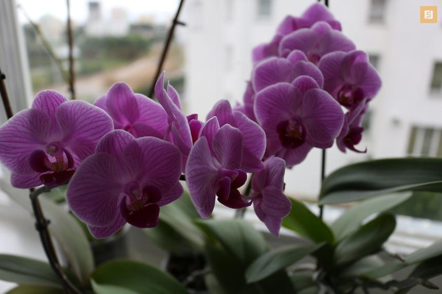 Canon EOS 100D, ISO 100, 18 мм F3.5, 1/80 c