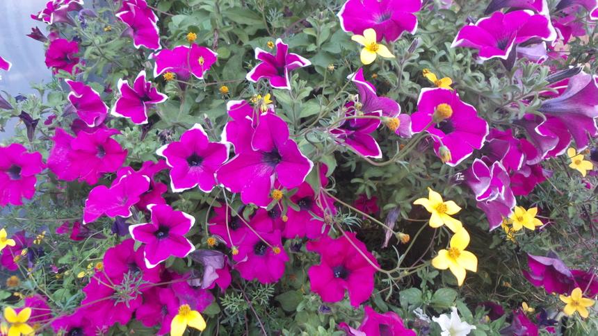 Samsung Galaxy S4 Zoom, ISO 200, 24 мм F3.1, 1/30 c