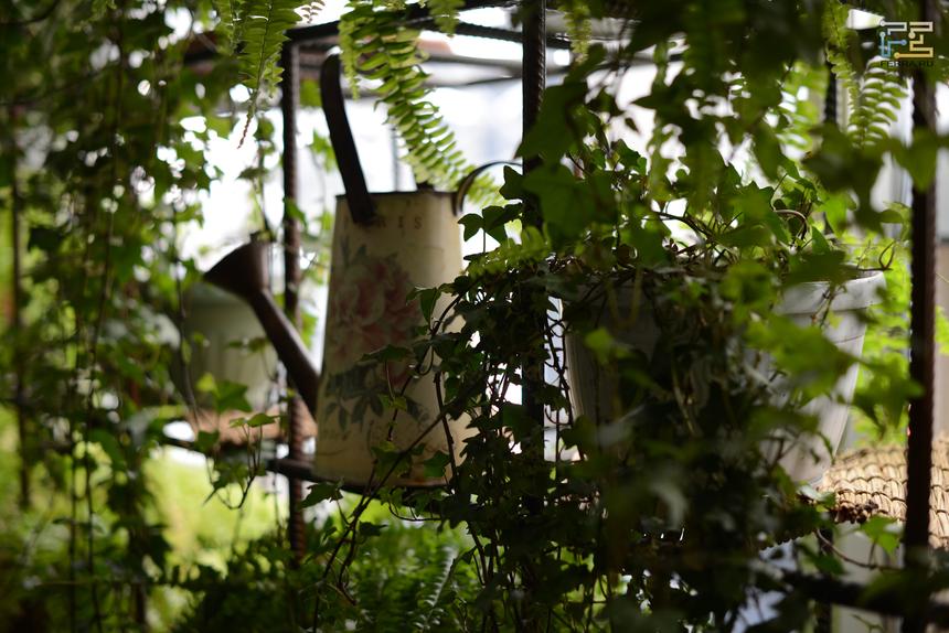 Nikon D600, 50 мм, ISO 320, f/2.5, 1/160 c