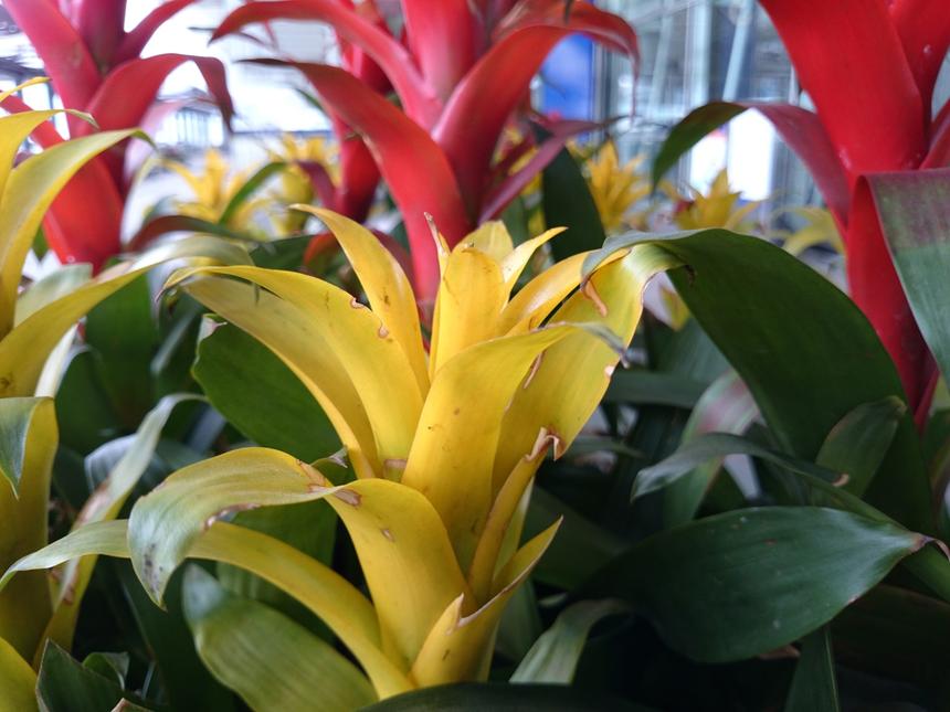 Лучше прежнего. Обзор смартфона Sony Xperia Z2