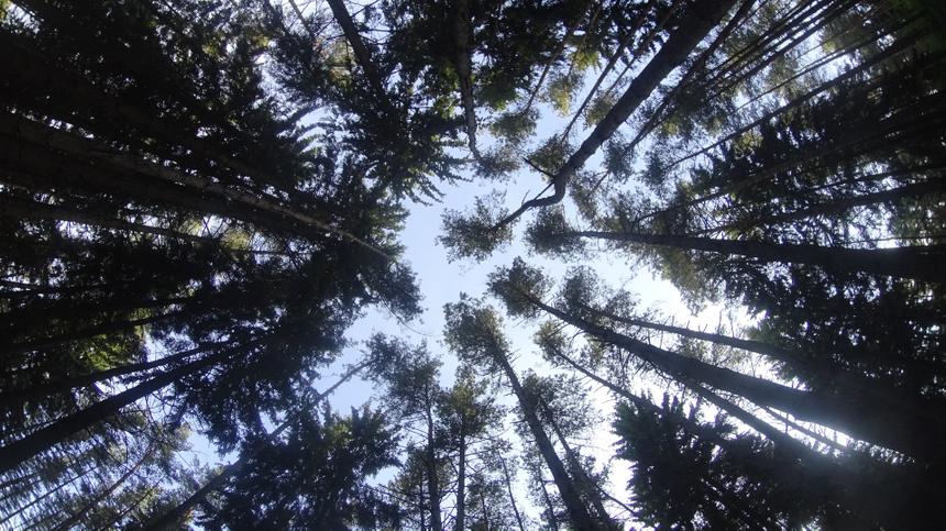 Sony HDR-AS100V, 2,8 мм, f/2.8, 1/350 c