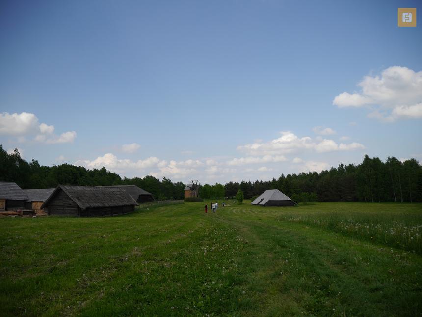 Panasonic Lumix G6, ISO 160, 28 мм F3.5, 1/2000 c