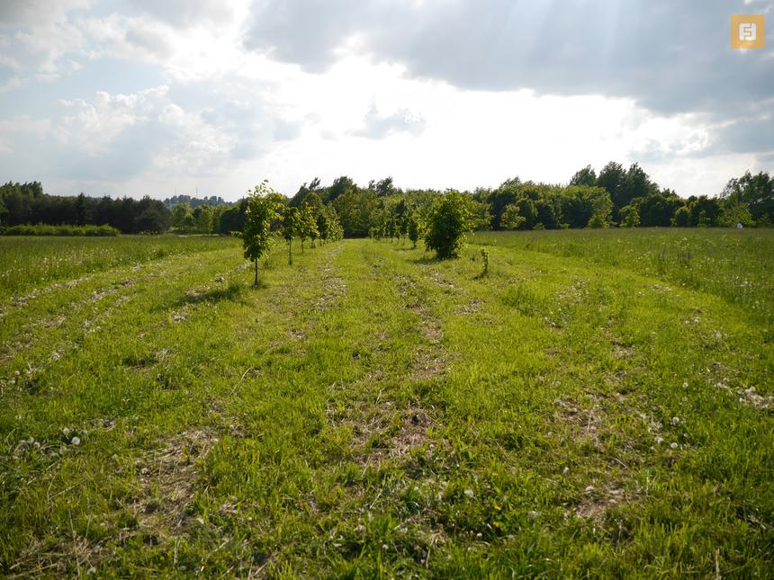 Panasonic Lumix G6, ISO 160, 28 мм F3.5, 1/2000 c