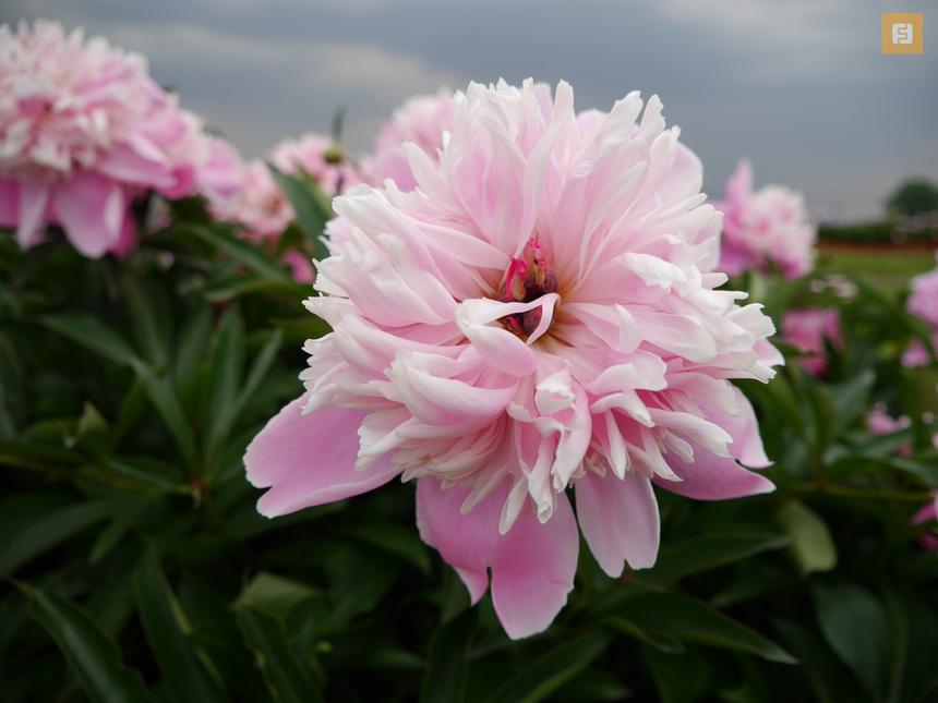 Panasonic Lumix G6, ISO 160, 28 мм F3.5, 1/1300 c