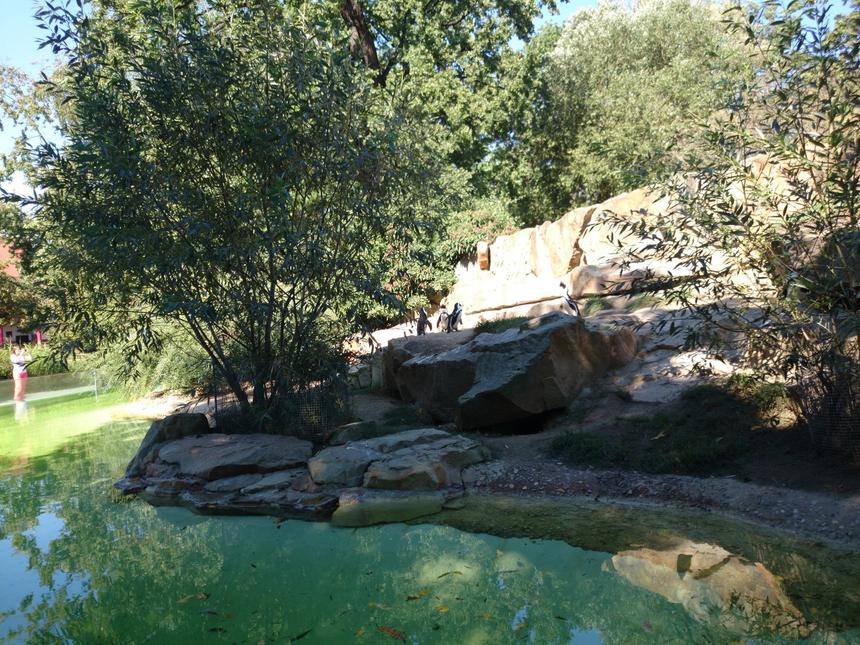 Тестовые снимки, снятые камерой смартфона Sony Xperia Z1