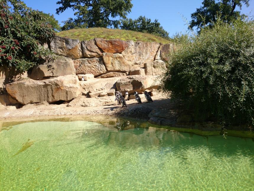 Тестовые снимки, снятые камерой смартфона Sony Xperia Z1