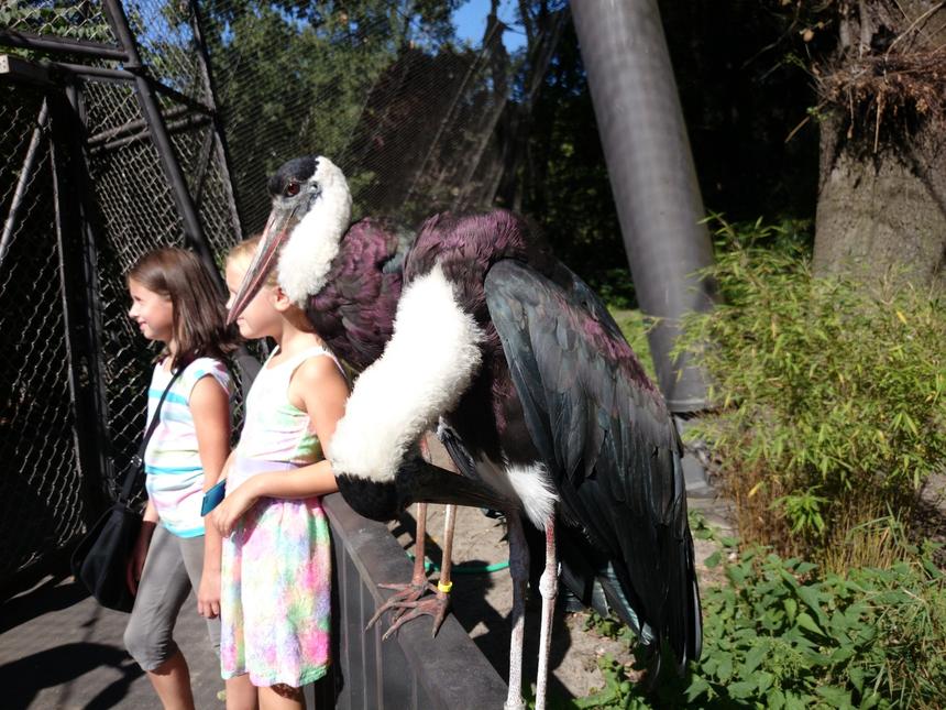 Тестовые снимки, снятые камерой смартфона Sony Xperia Z1