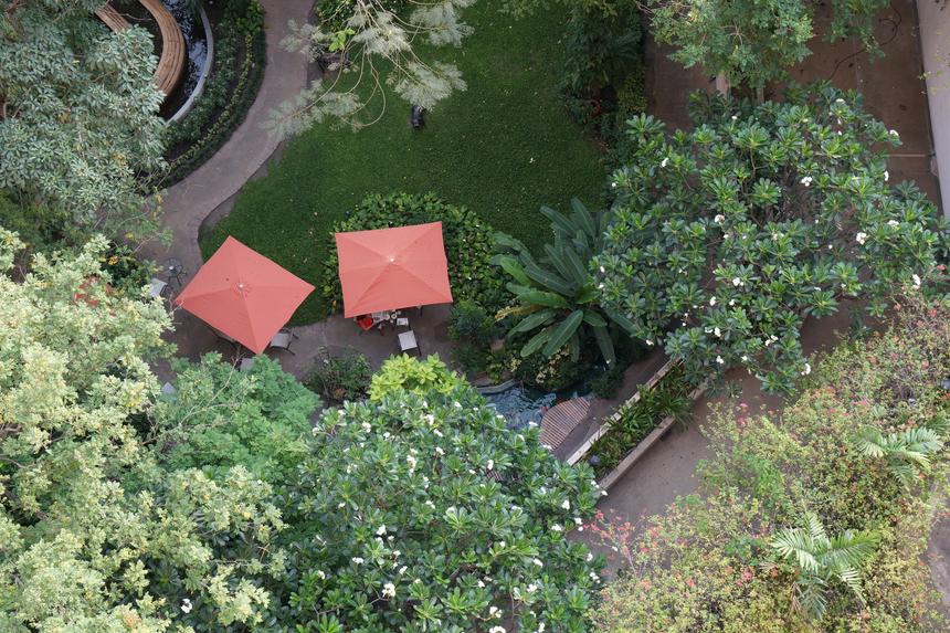 Sony Alpha A7R, ISO 500, 29 мм, f/8.0, 1/60 c