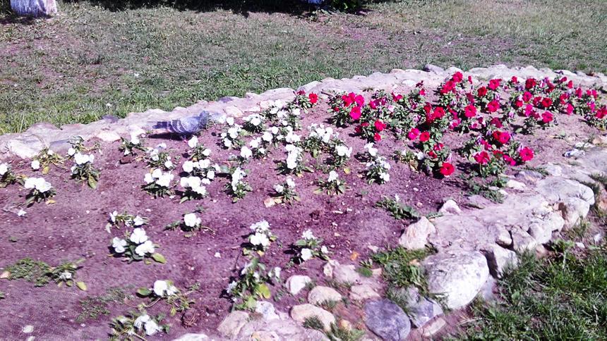 По мотивам историй успеха. Обзор смартфона Turbo X6 Z Star