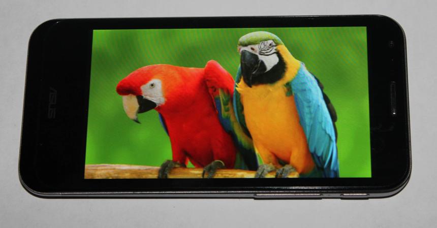 Качество картинки на экране смартфона великолепное